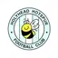 Holyhead Hotspur