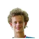 L. van Assche